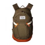 Dakine Canyon Backpack 20L