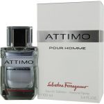 Attimo Pour Homme by Salvatore Ferragamo EDT 100ml